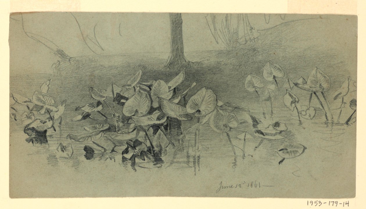 Étude de feuillage - William Trost Richards