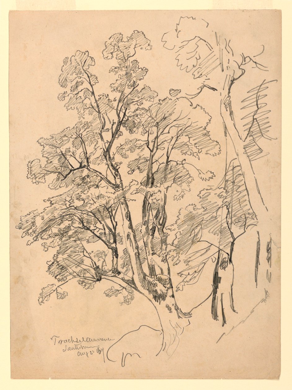 Étude de feuillage, Trachselwald, Berne, Suisse - William Trost Richards
