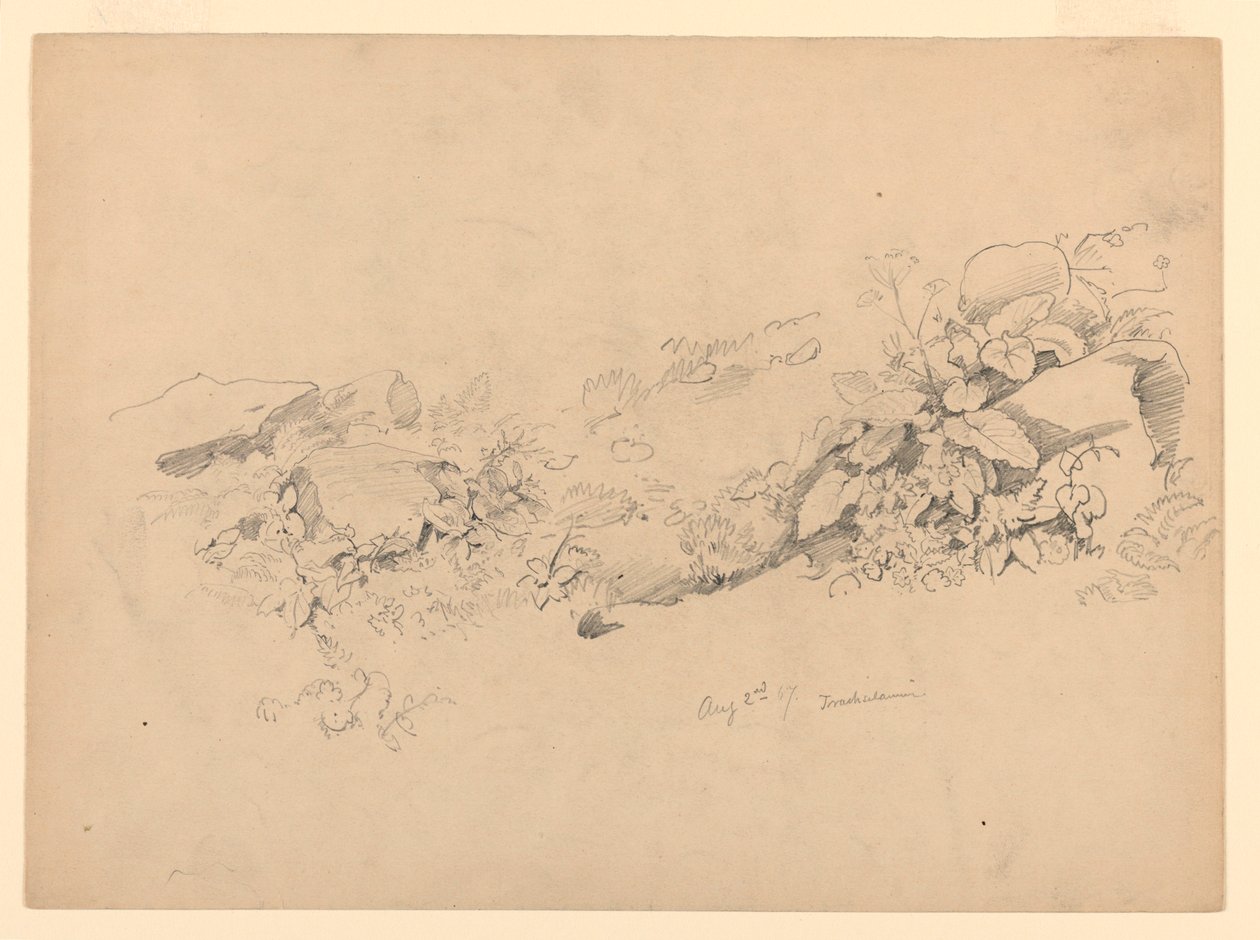 Étude de feuillage, Trachselwald, Berne, Suisse - William Trost Richards