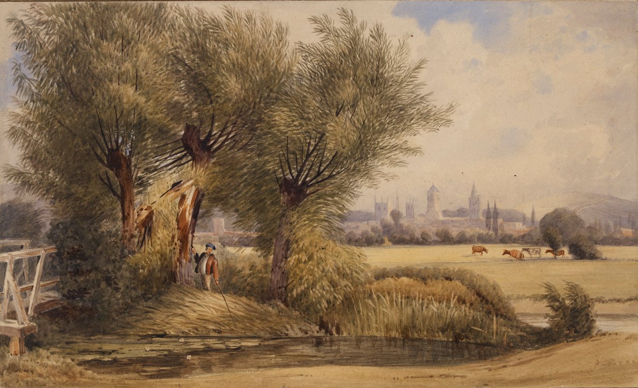 Vue d