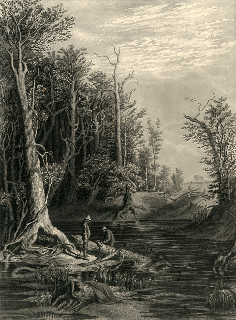 Le Chickahominy - William Wellstood