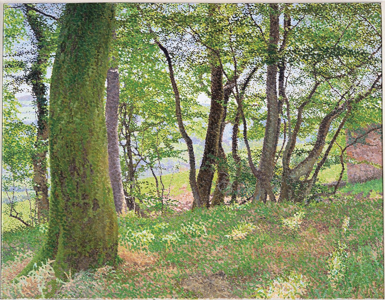 Après-midi à Carmarthenshire - William Wilkins