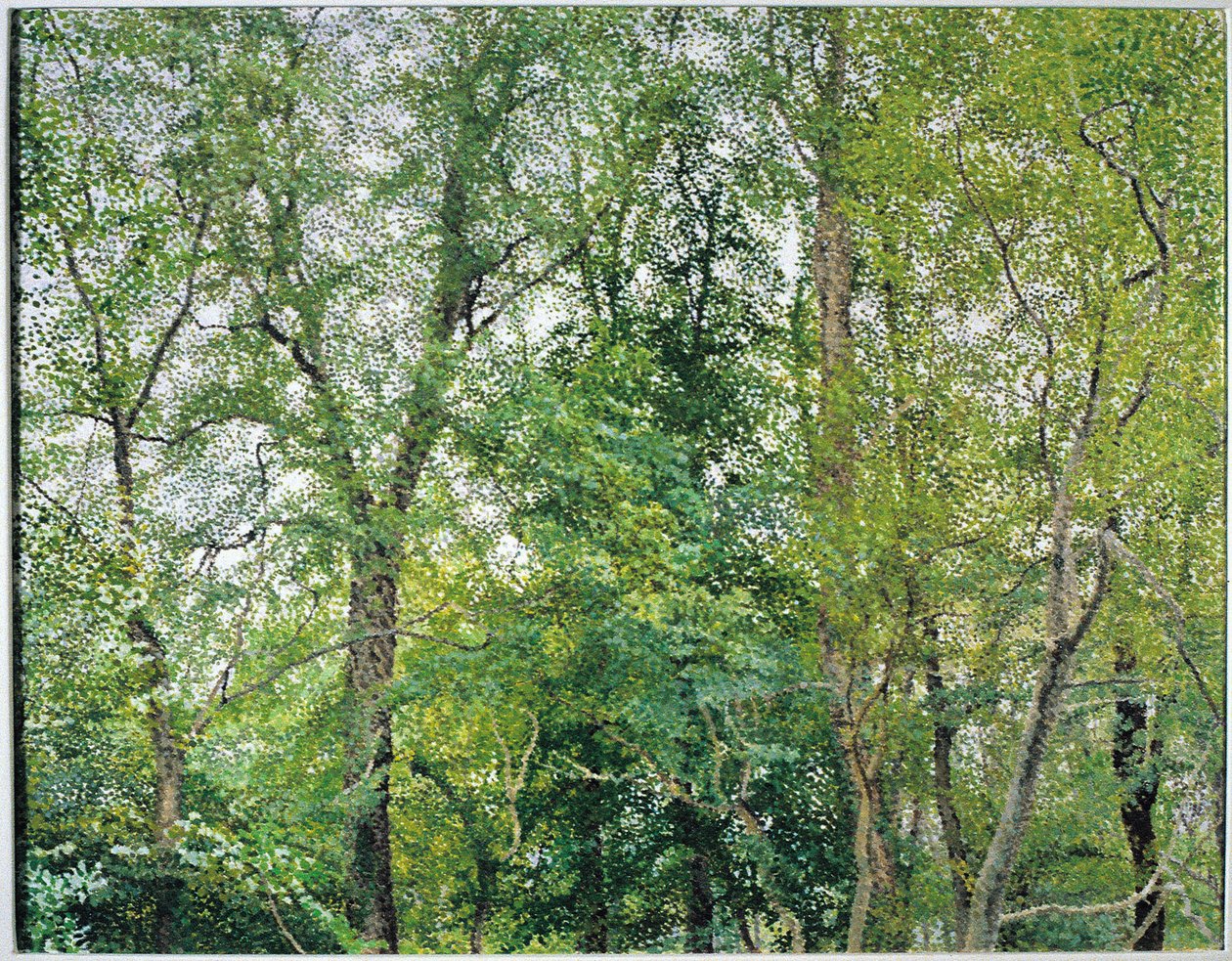 La plantation du jubilé - William Wilkins