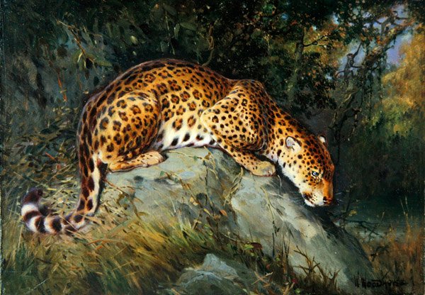 Un léopard accroupi sur un rocher - William Woodhouse