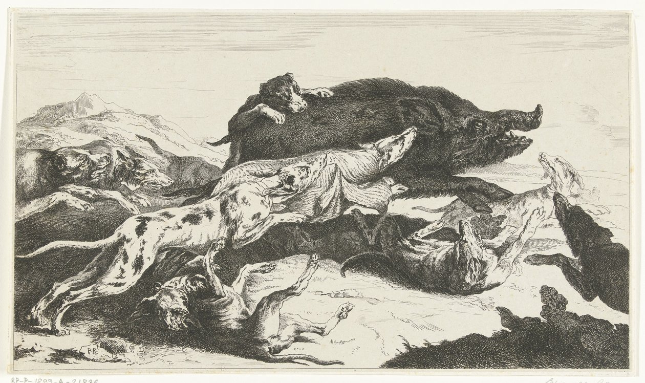 Chiens chassant un sanglier - William Young Ottley