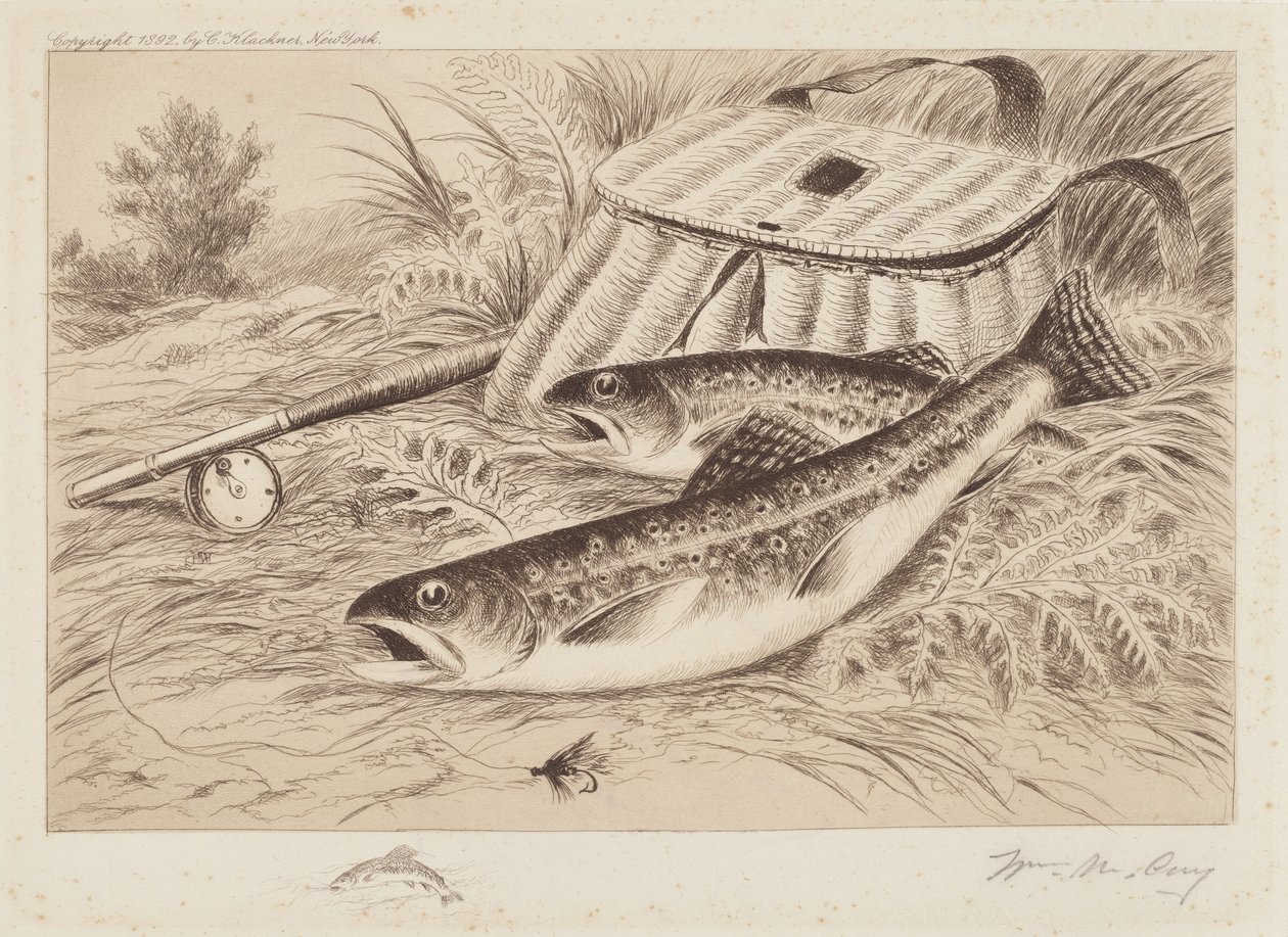 Une Bonne Prise - William de la Montagne Cary