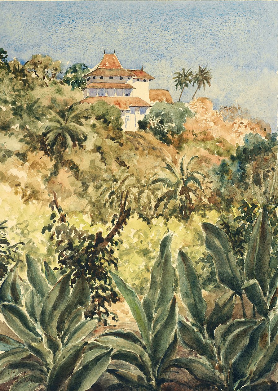 723 Lankatilaka depuis le jardin de poivre - Wilson Clive