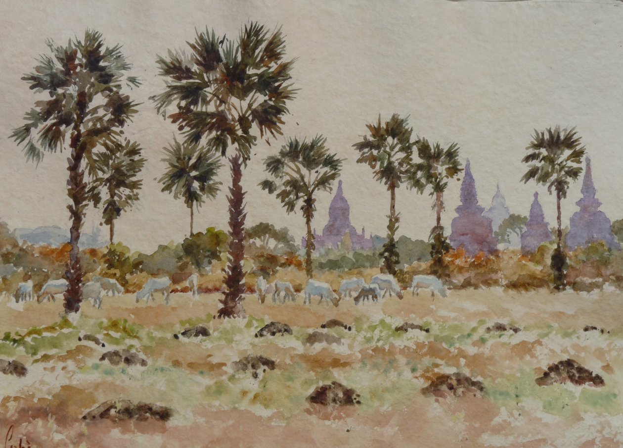 935 Vaches bleues et palmiers - Wilson Clive