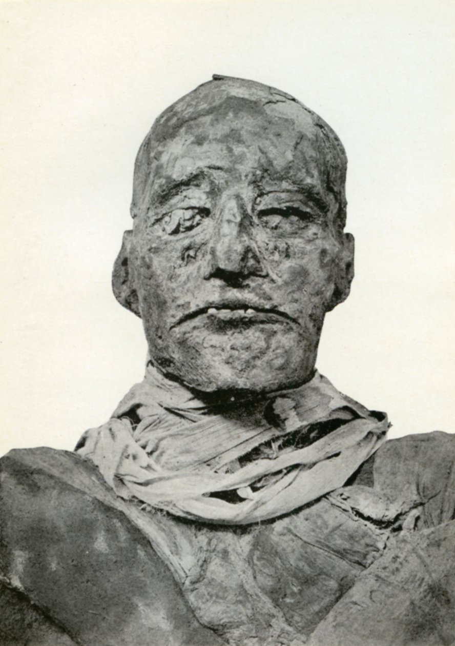Tête de la momie de Ramsès III, pharaon égyptien de la 20ème dynastie ...