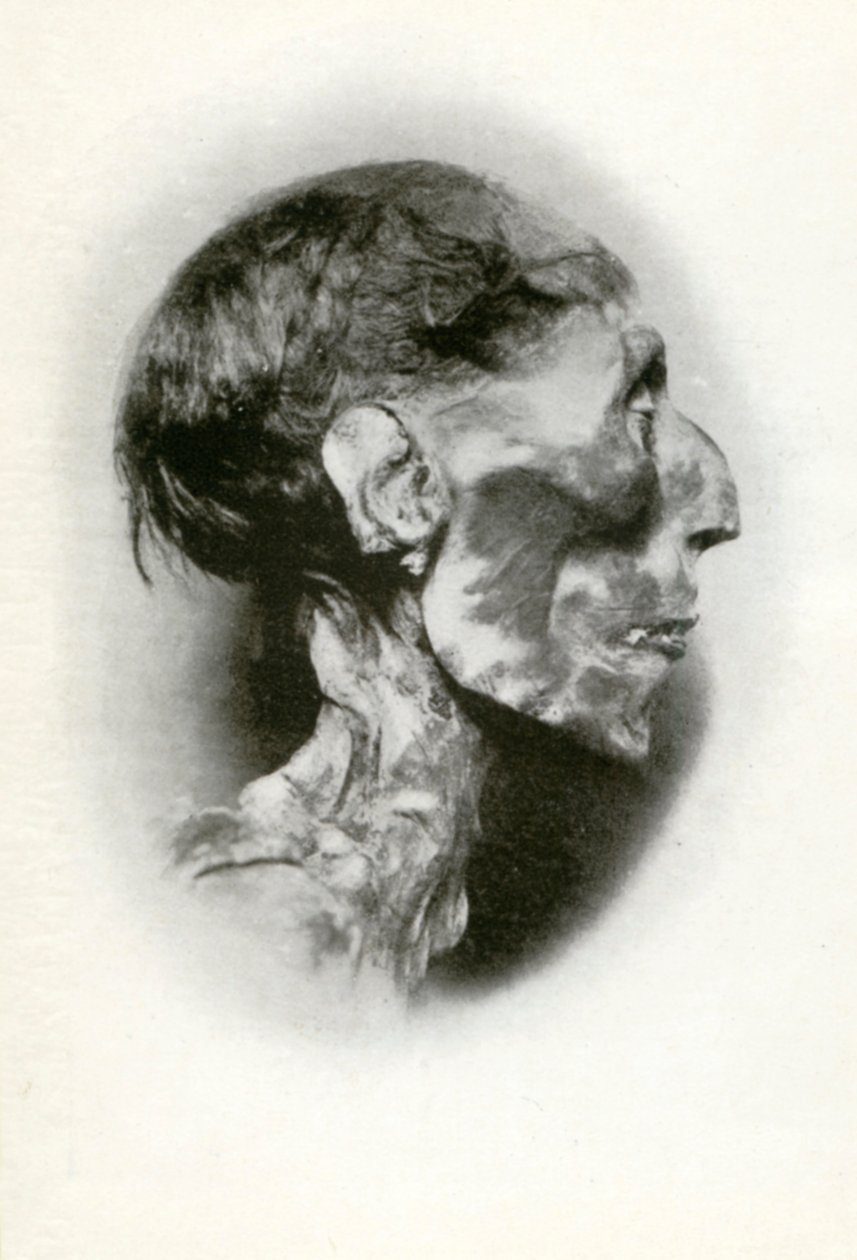 Tête de la momie de Ramsès II, pharaon égyptien de la 19e dynastie, vers 1212 av. J.-C. - Winifred Mabel Brunton