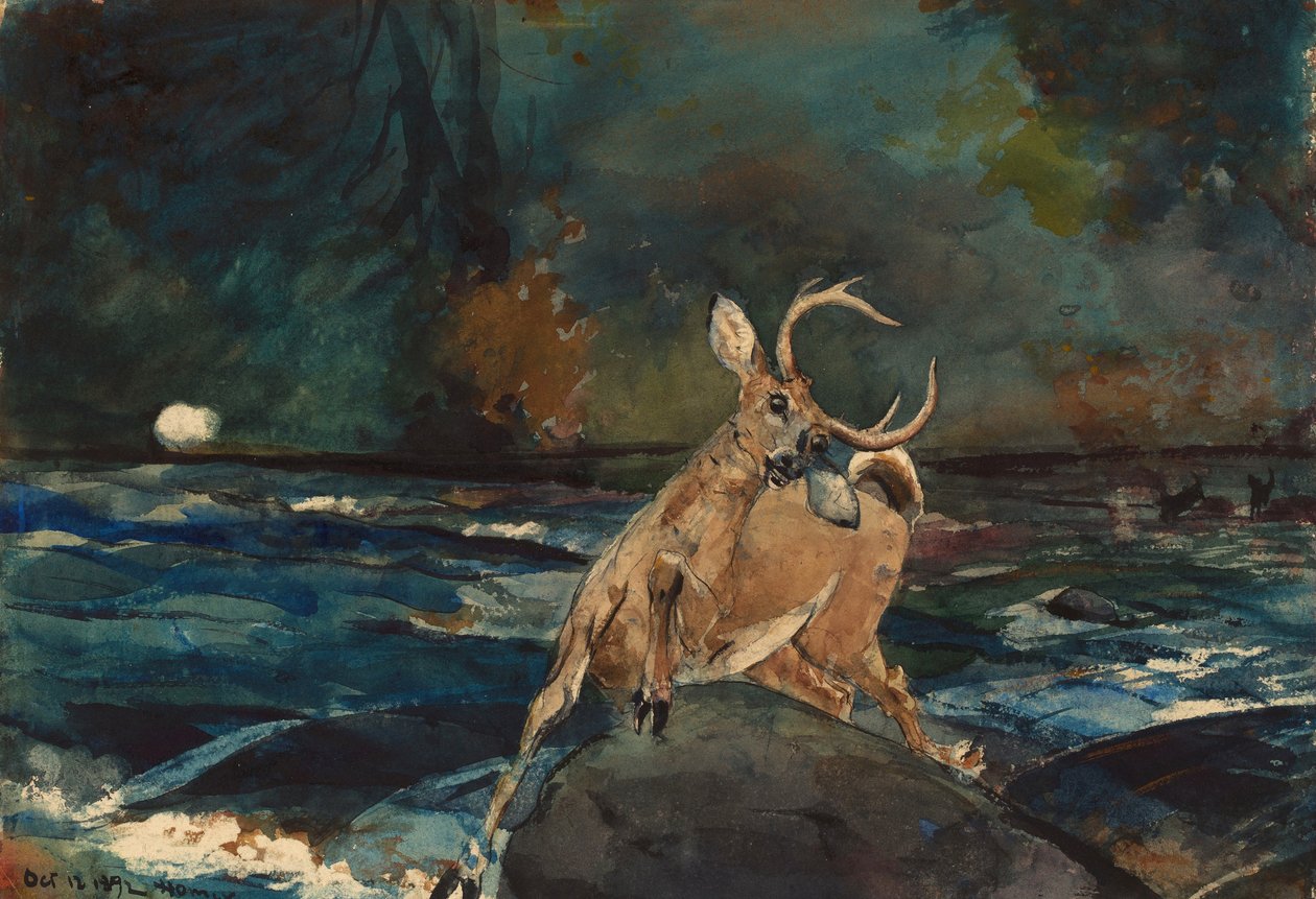 Un bon tir, Adirondacks - Winslow Homer