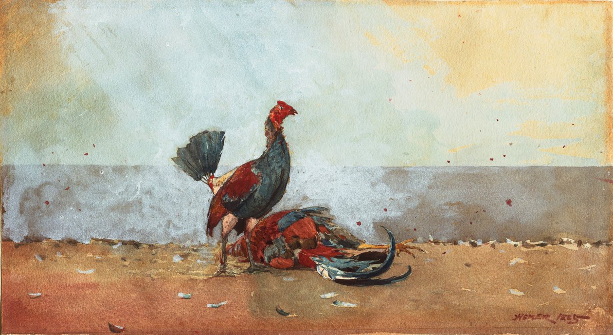 Le combat de coqs - Winslow Homer