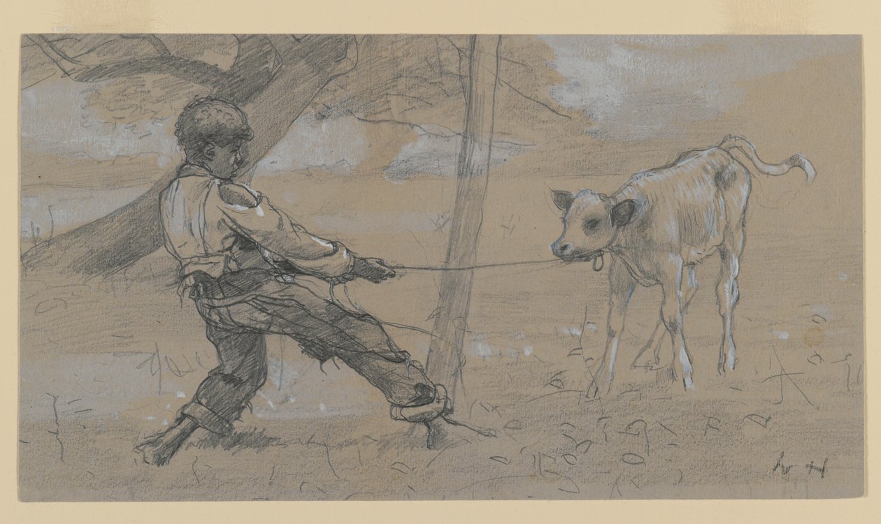 Le Veau indiscipliné - Winslow Homer