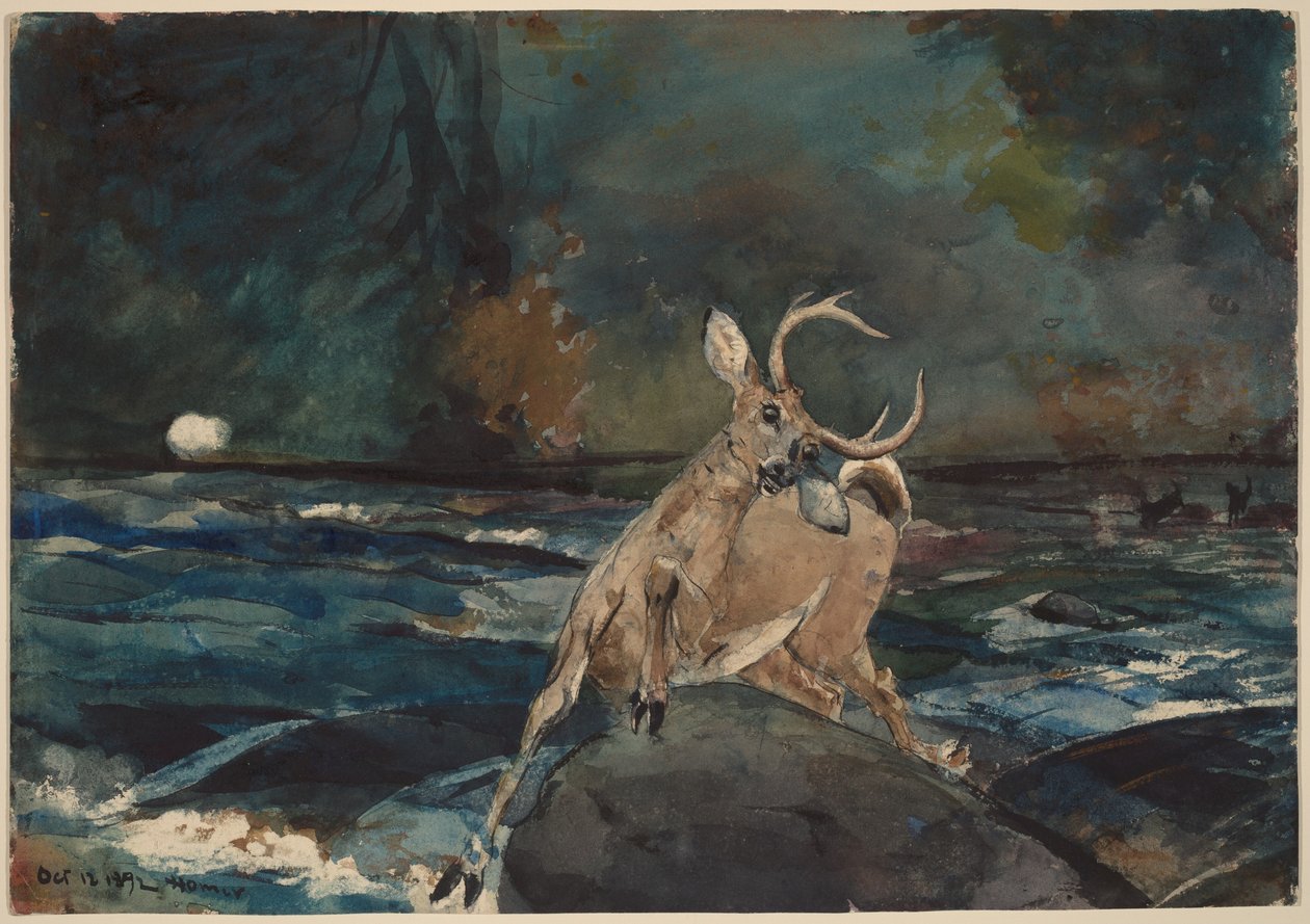 Une belle photo, Adirondacks - Winslow Homer