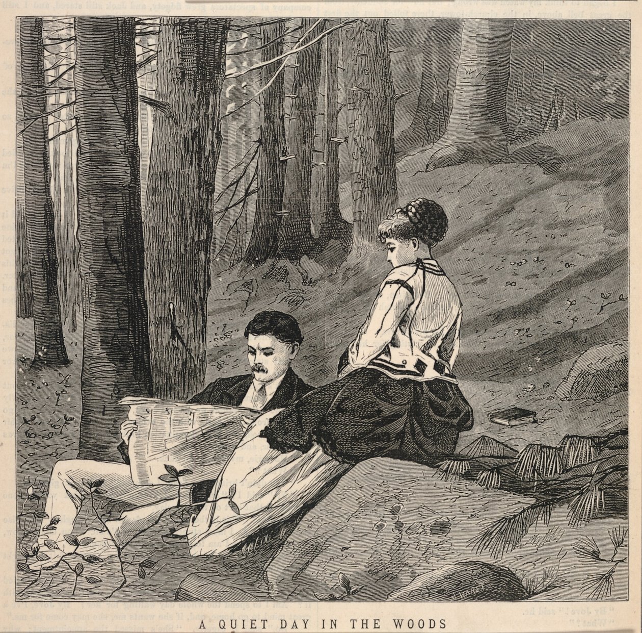 A Quiet Day in the Woods, tiré de Appletons