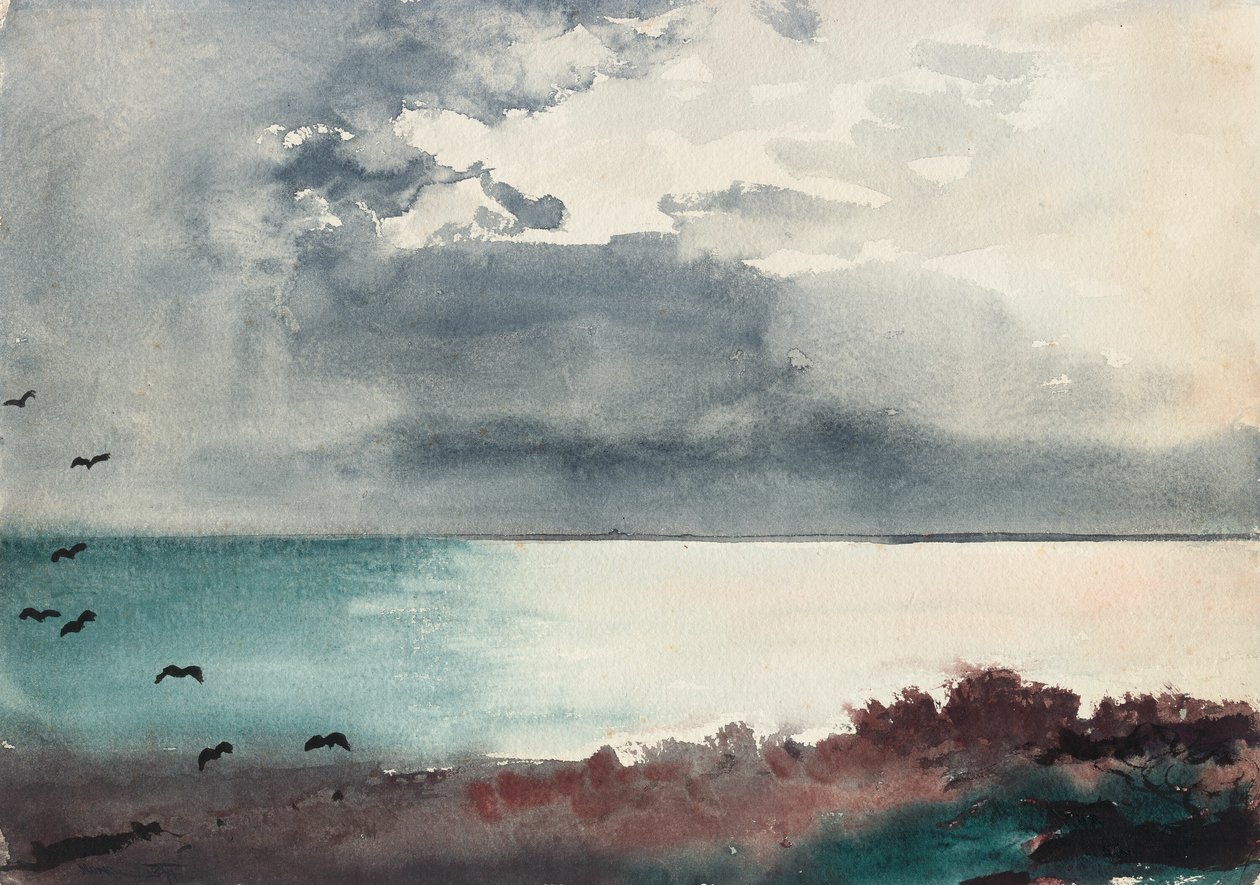 Rupture de tempête, côte du Maine - Winslow Homer