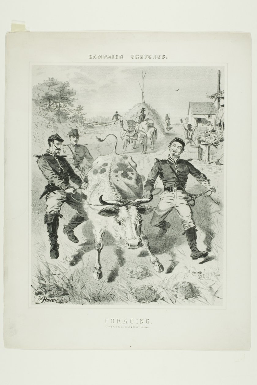 Croquis de campagne : La recherche de nourriture - Winslow Homer