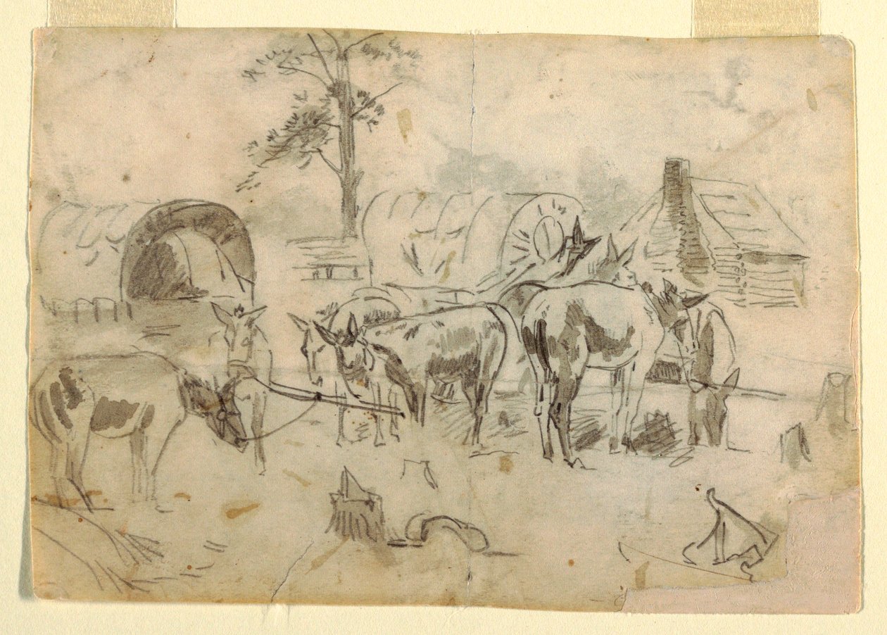 Dessin, mules au repos attachées à des chariots, 1862 - Winslow Homer