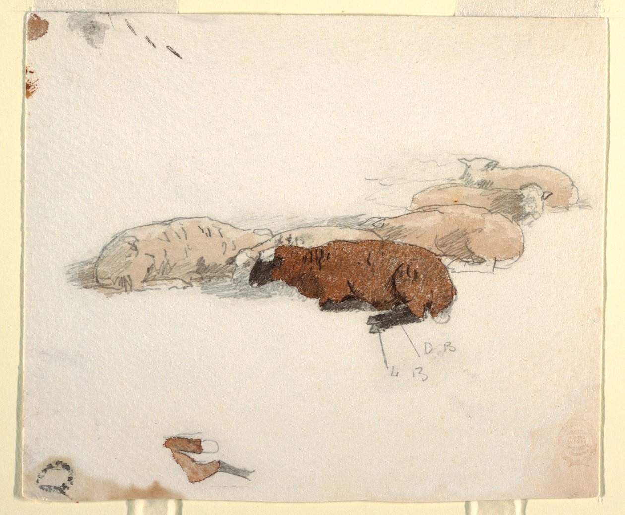 Dessin, mouton au repos, 1878 - Winslow Homer