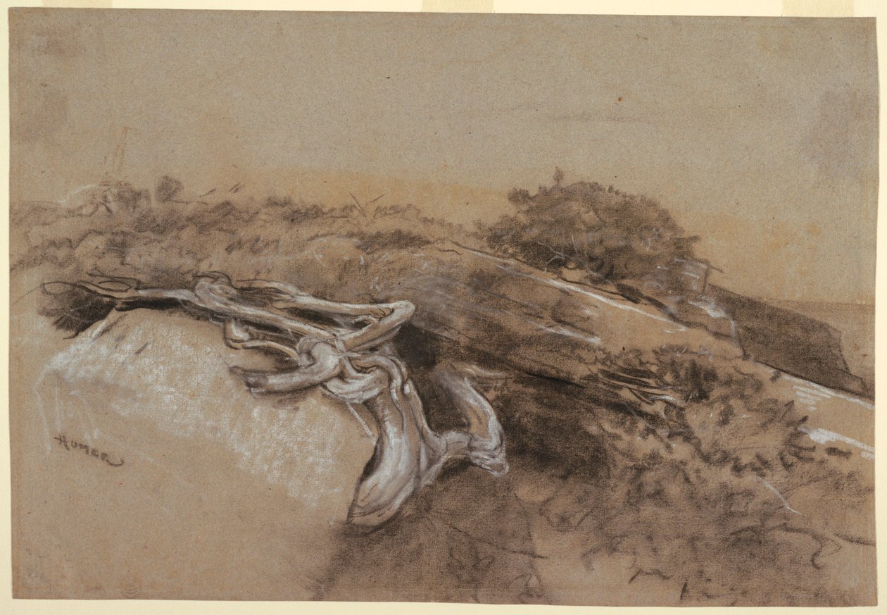 Dessin, étude des racines d