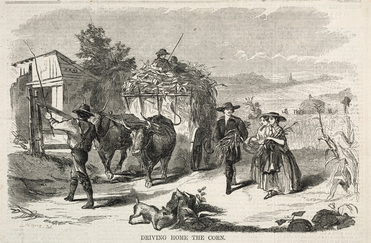 Retour à la maison avec le maïs, 1858 - Winslow Homer