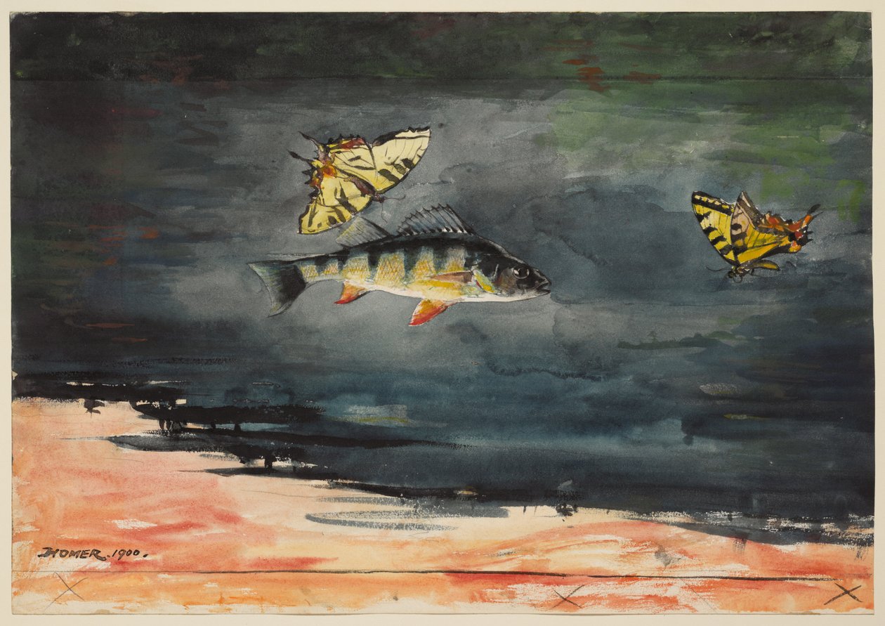 Poissons et papillons - Winslow Homer