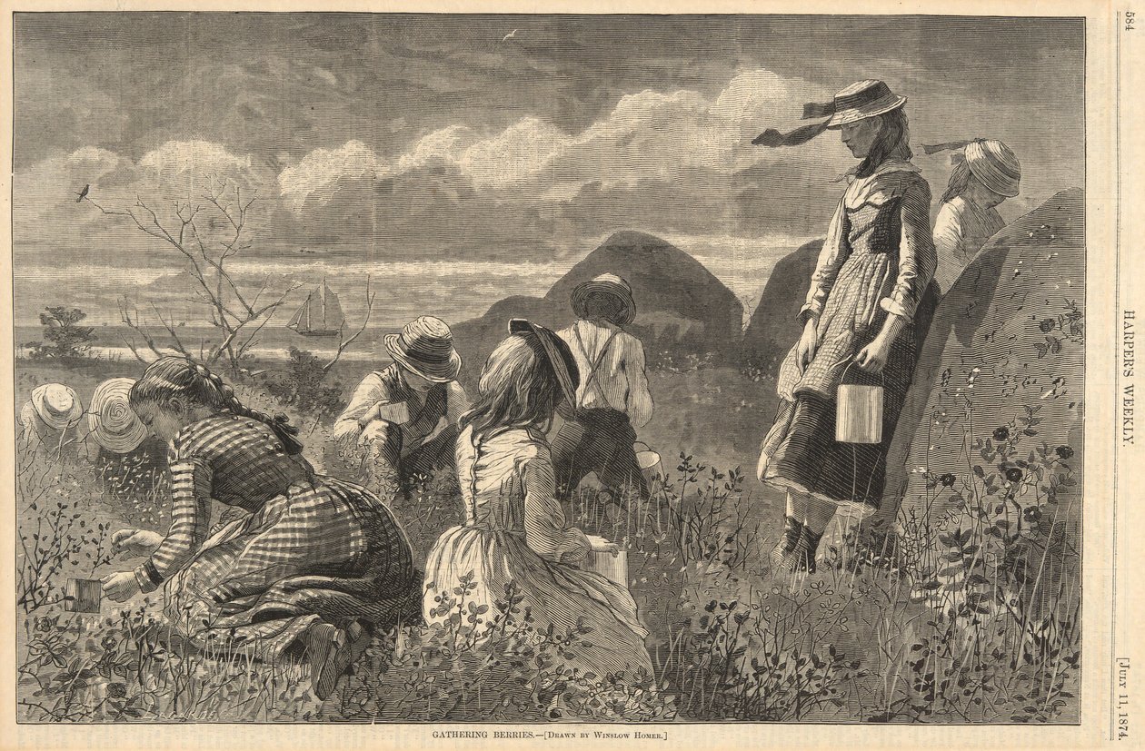 Cueillette de baies, de Harper - Winslow Homer