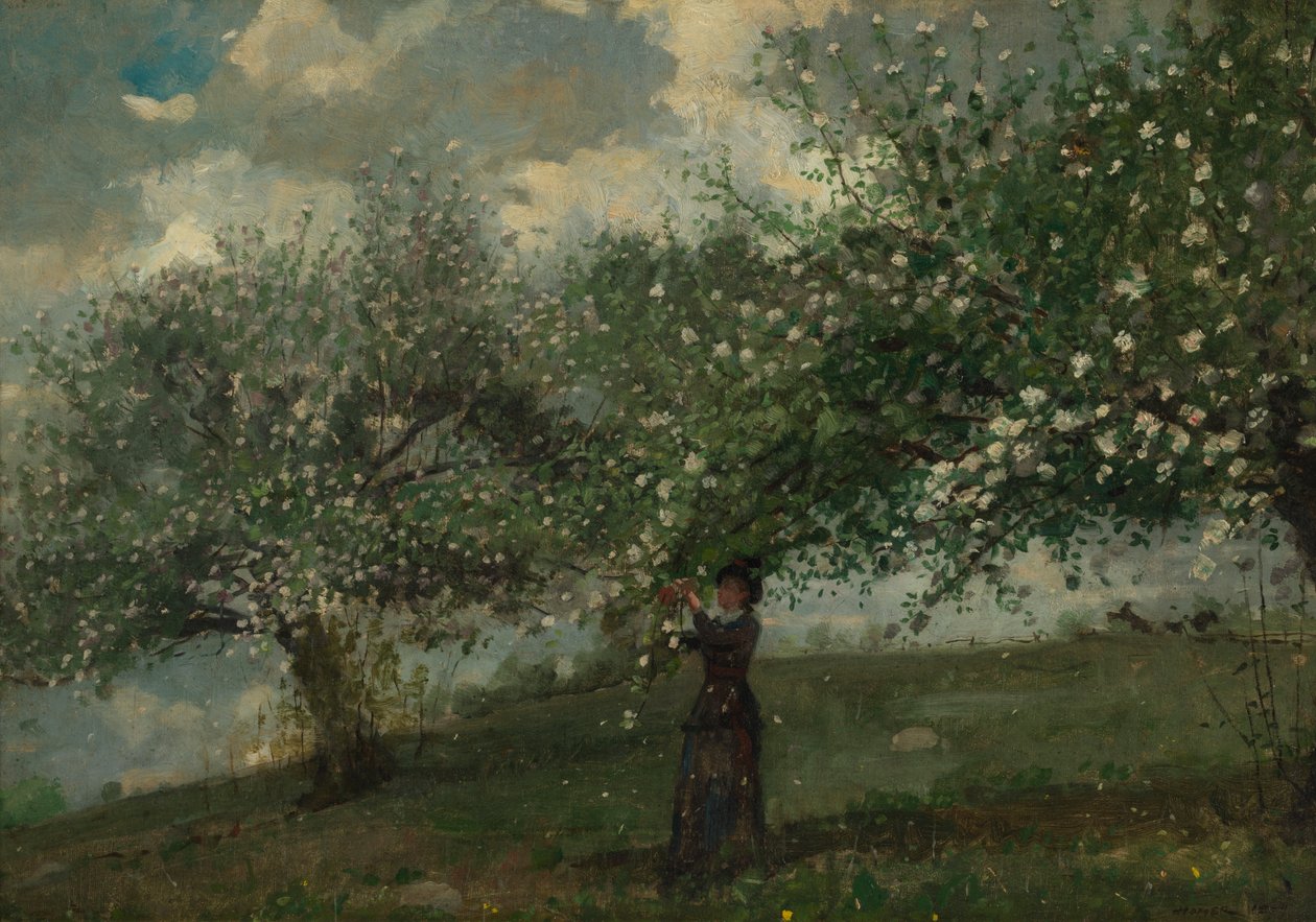 Fille cueillant des fleurs de pommier - Winslow Homer