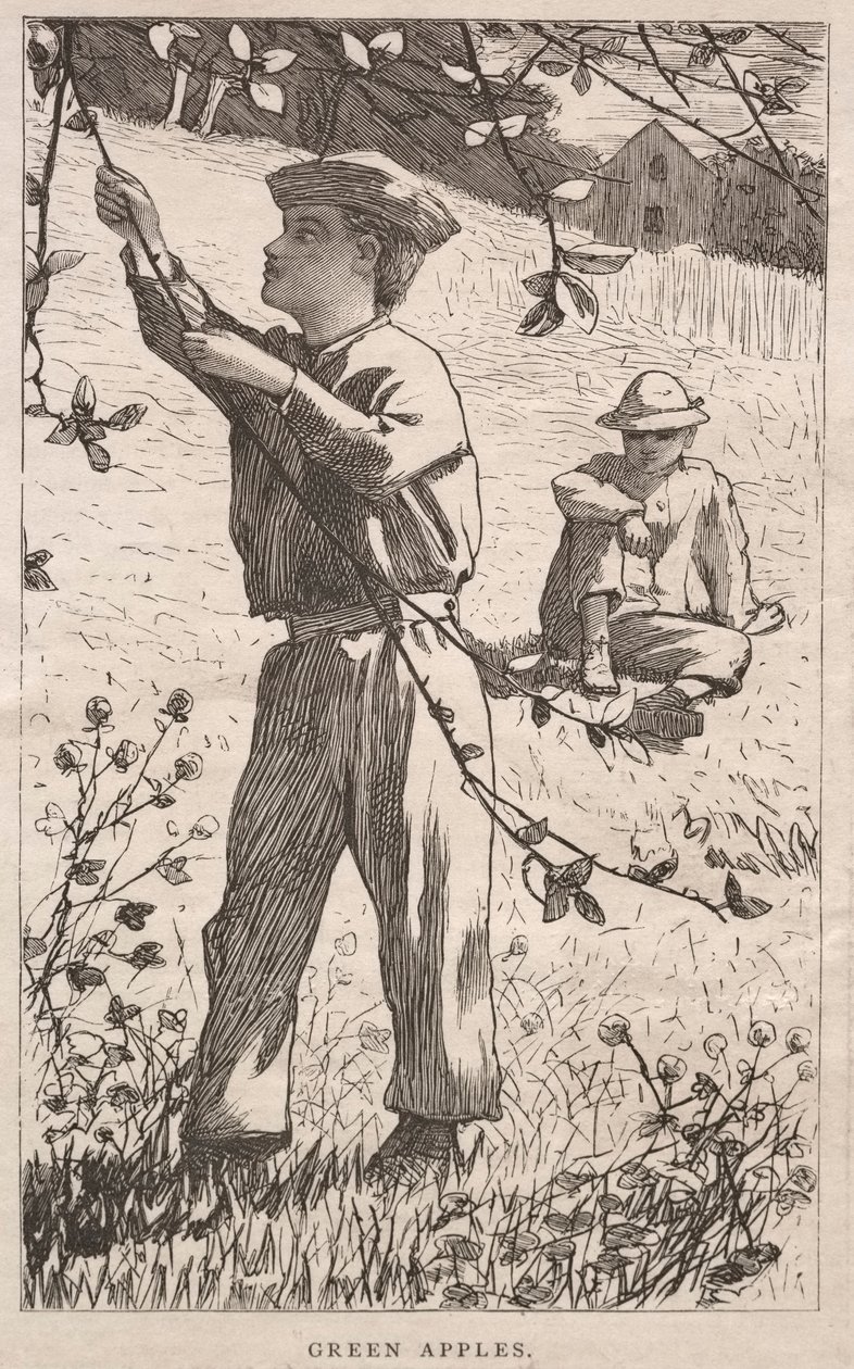 Pommes vertes, 1868 - Winslow Homer