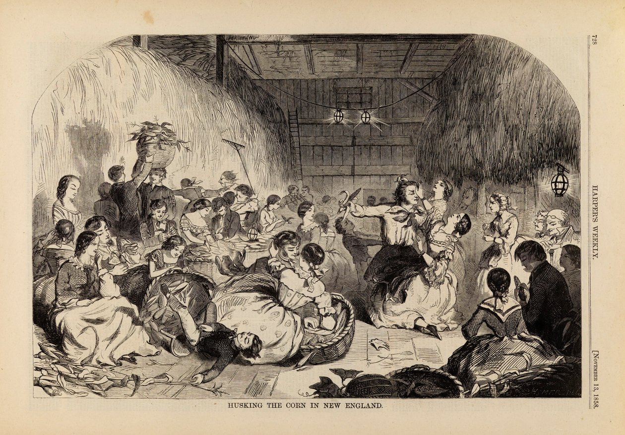 Husking the Corn in New England, tiré de Harper