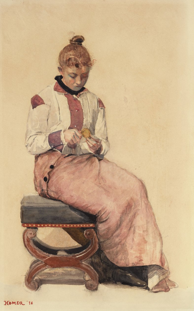 Citron, 1876 - Winslow Homer