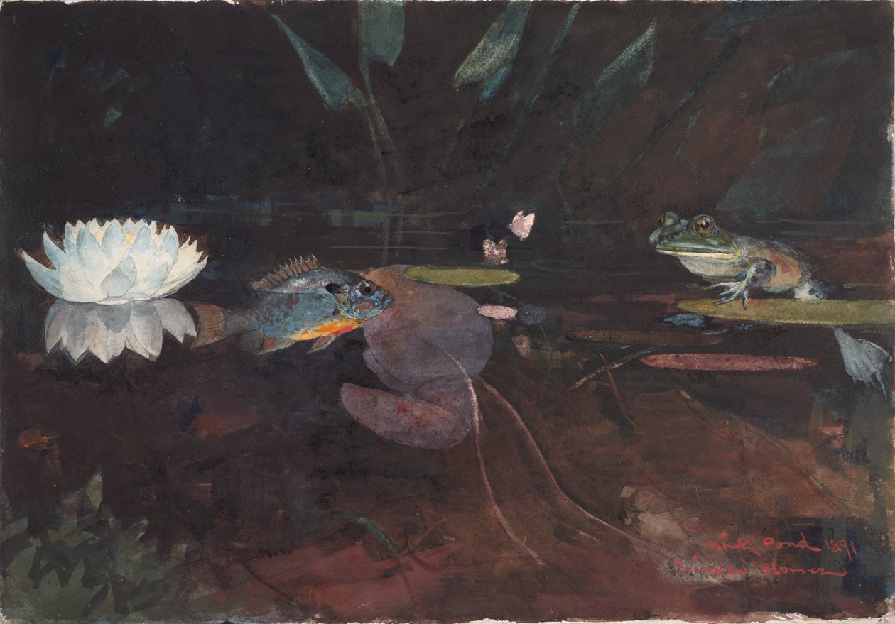 Étang de vison - Winslow Homer
