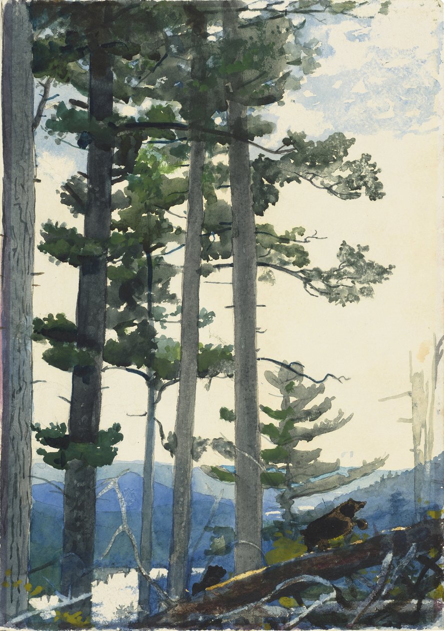 Vieux colons - Winslow Homer