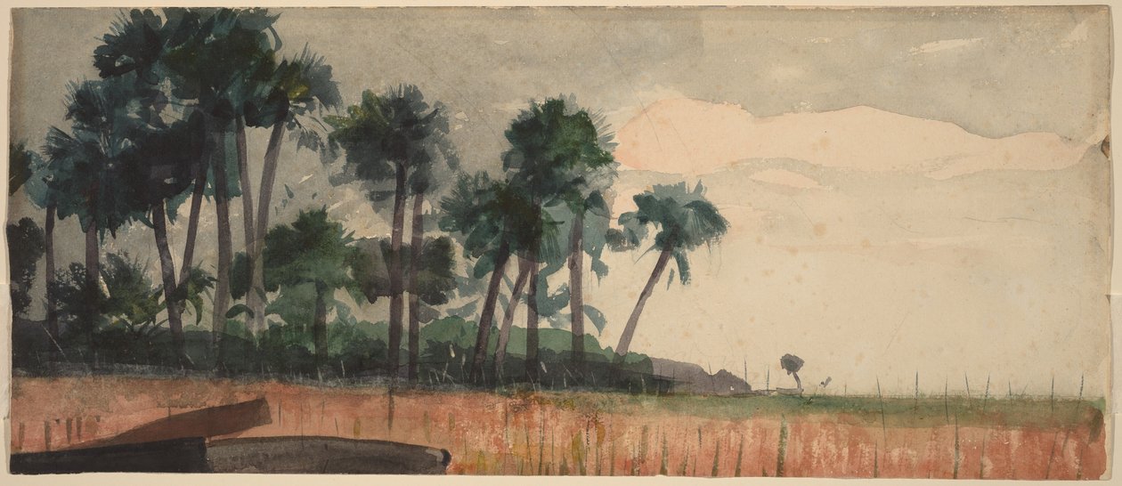 Palmiers rouges - Winslow Homer