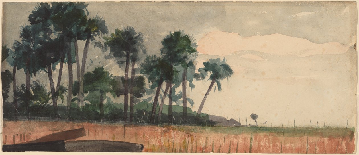 Palmiers Rouges - Winslow Homer
