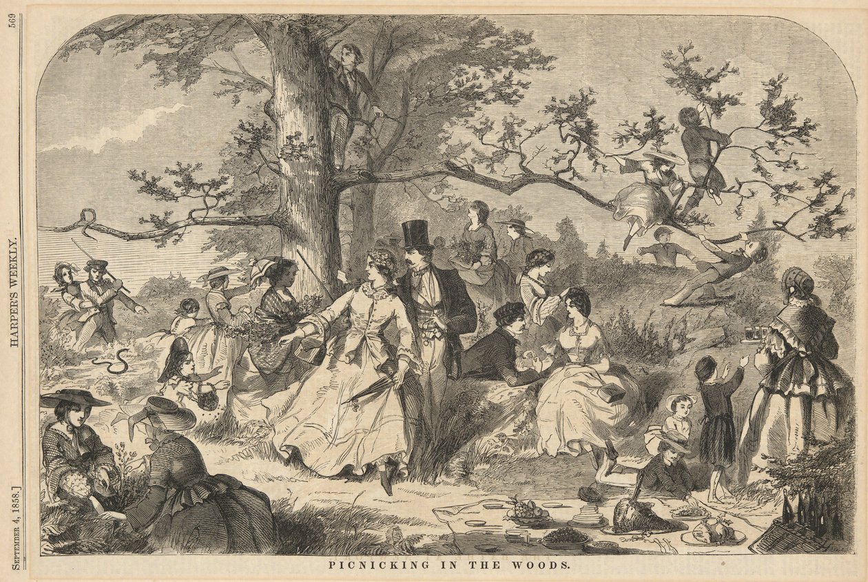 Pique-nique dans les bois, de Harper - Winslow Homer