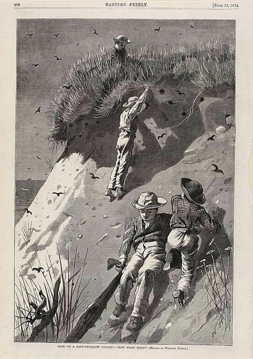 Raid sur une colonie d