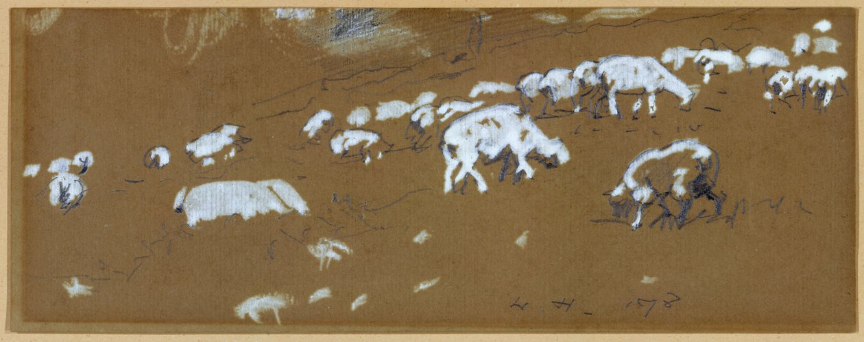 Moutons, 1878 - Winslow Homer
