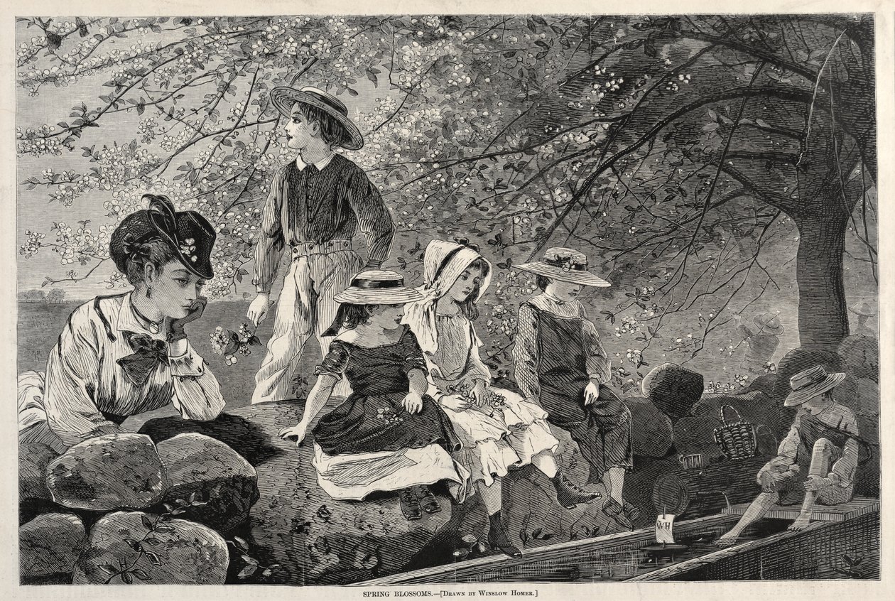 Fleurs de printemps - Winslow Homer