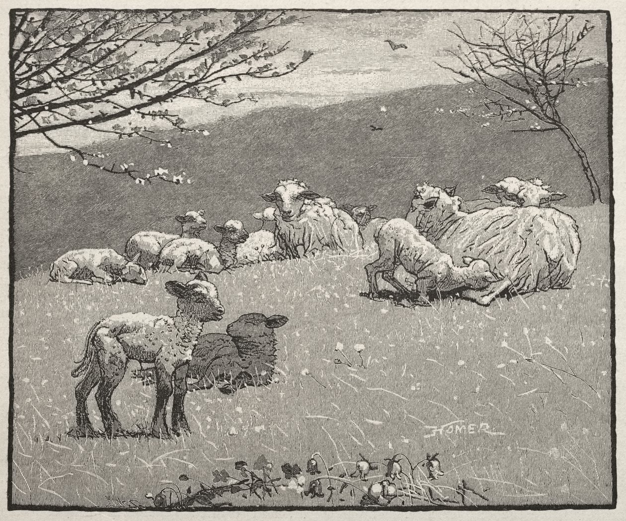Agneau de printemps - Winslow Homer