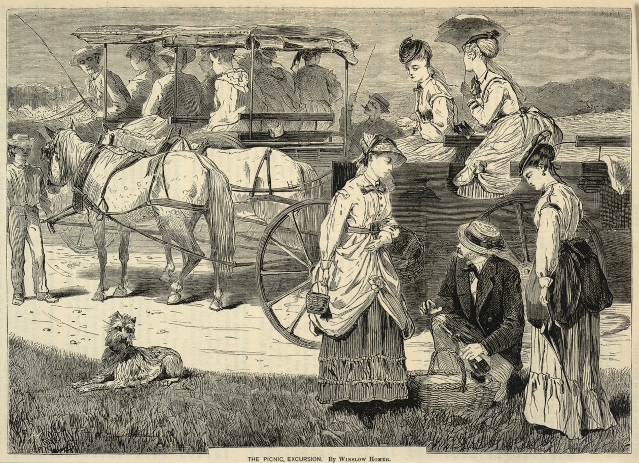 The Picnic Excursion, tiré de Appletons
