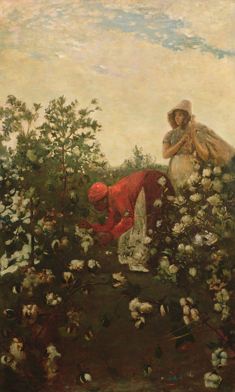 Coton des hautes terres - Winslow Homer