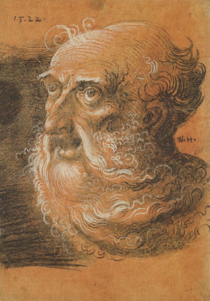 Étude de tête, 1522 - Wolf Huber