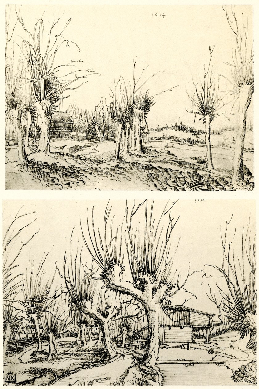 Paysages avec saules - Wolf Huber