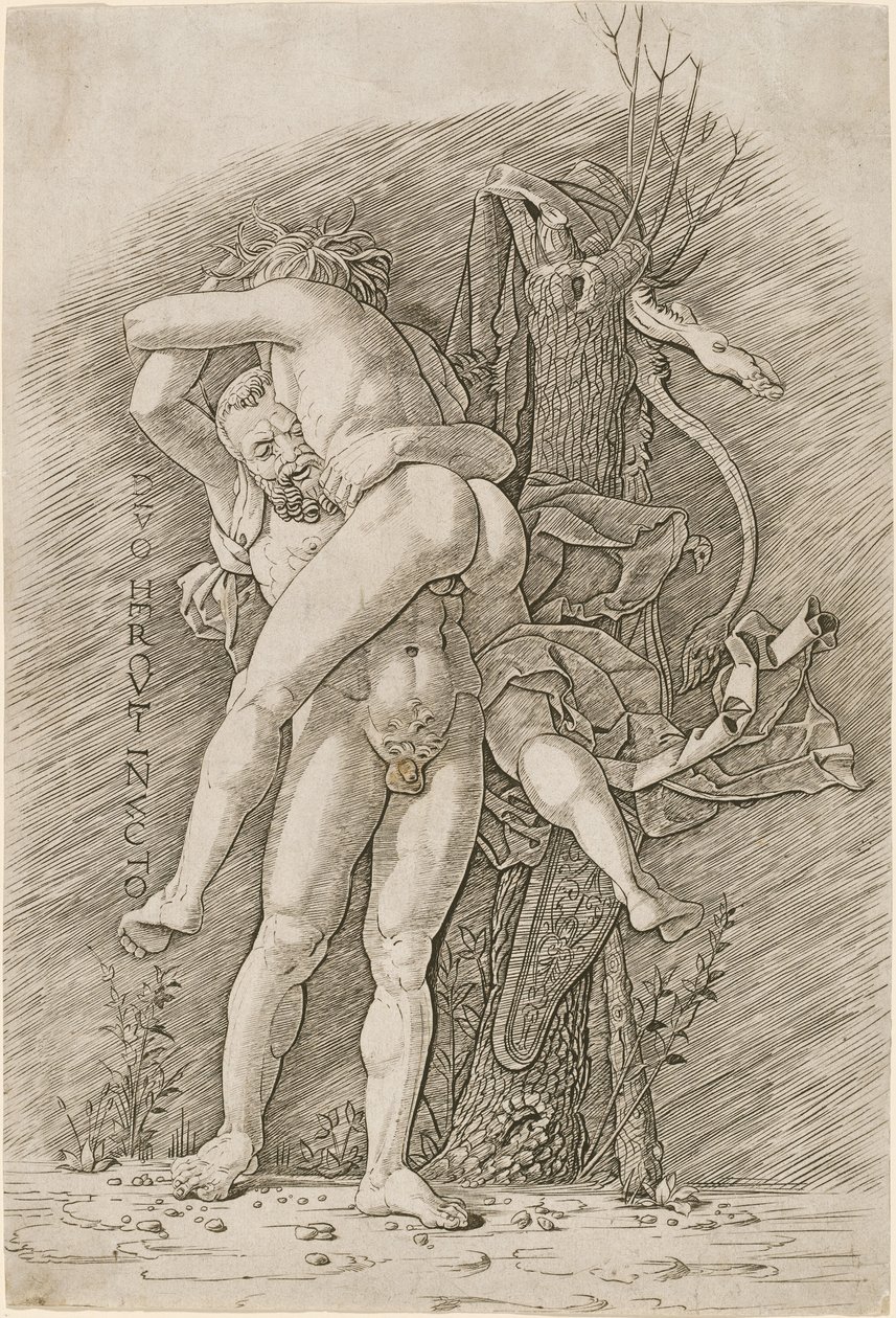 Hercule et Antée - Workshop of Andrea Mantegna