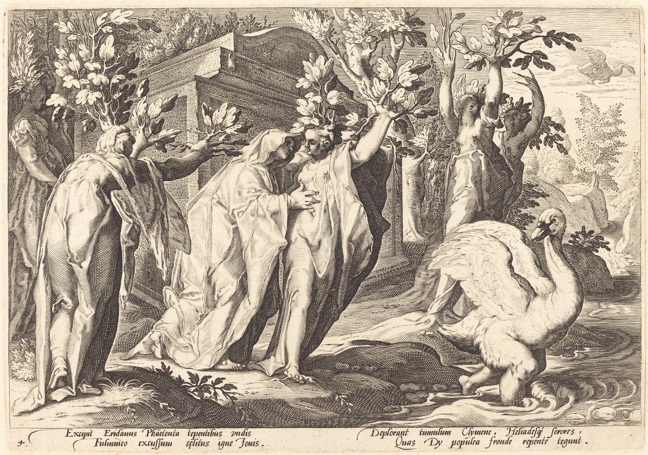 Les sœurs de Phaéton changées en peupliers, Cygnus en cygne - Workshop of Hendrick Goltzius, after Hendrick Goltzius