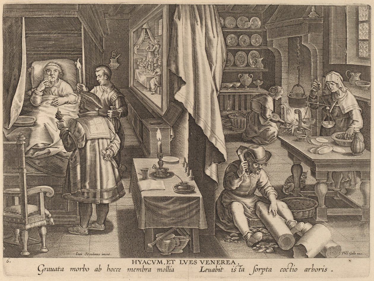 Hyacum et Lues Venerea (Guaiacum et infection vénérienne) - Workshop of Philip Galle after Jan van der Straet