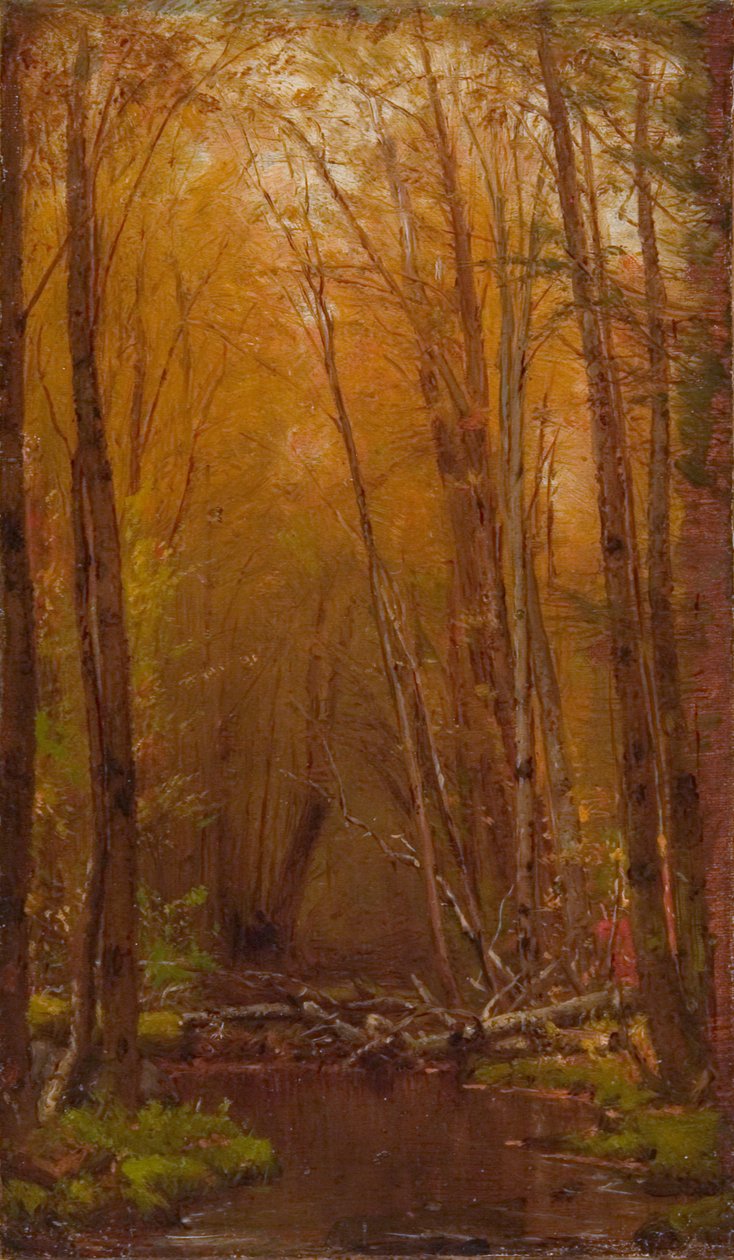 Les bouleaux des Catskills - Worthington Whittredge