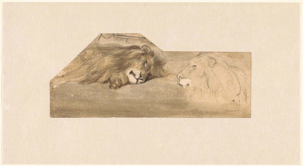 Études de deux lions - Wouter Johannes van Troostwijk