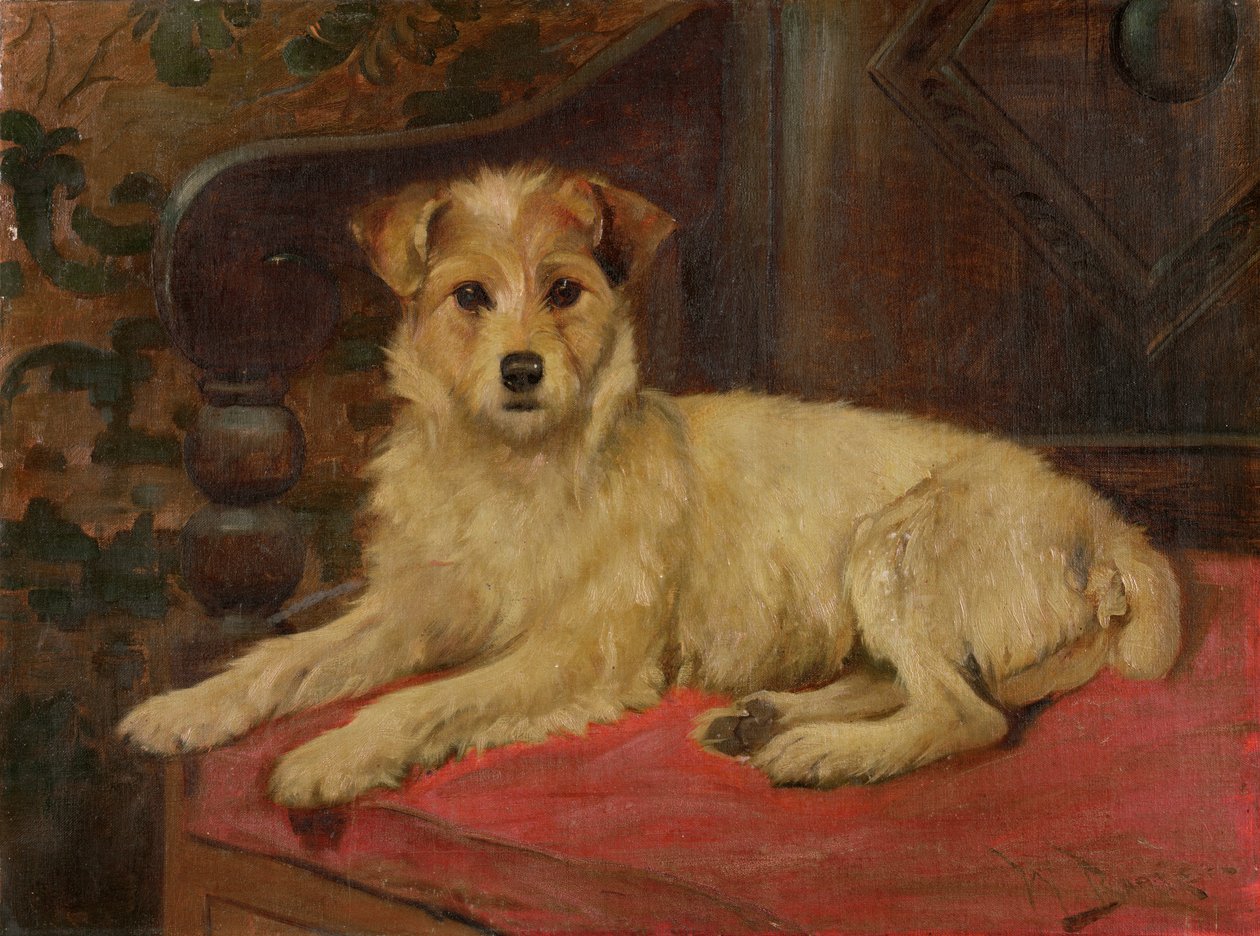 Un Terrier sur un canapé - Wright Barker